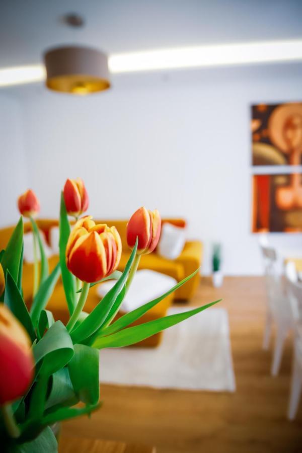 Cozy Apartment In The Downtown Gyor Luaran gambar
